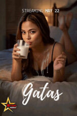 Gatas 2026 152x228 1